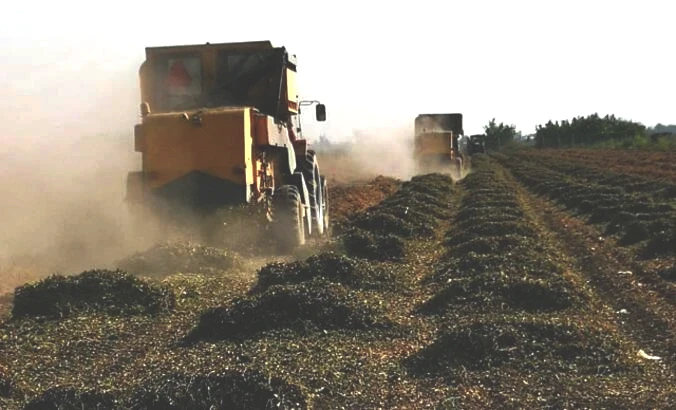 ÇİFTÇİ DESTEK ÖDEMESİ NASIL SORGULANIR